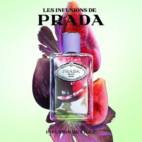 prada profumi infusion|prada infusion de figue.